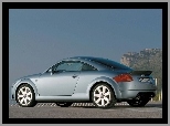 Audi TT, Srebrne