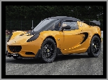 Żółty, Lotus Elise 250