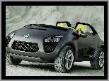 Firmowy, Citroen C-Buggy, Emblemat