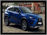 2018, Lexus NX F Sport